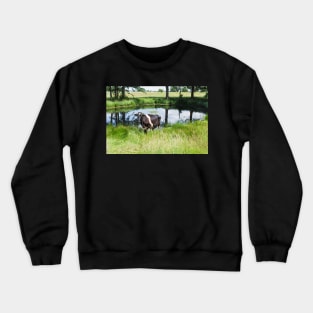 A Holstein Friesian cow grazing on a green pasture Crewneck Sweatshirt